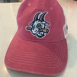 Hartford Yard Goats hat